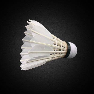 brand shuttlecock as A-6 brand for professional competition badminton shuttlecock